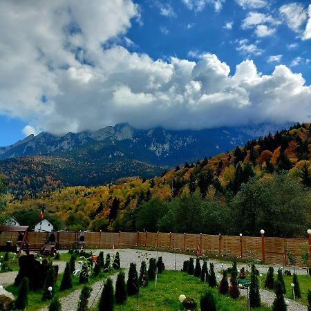 Aroa Mountain 4 Villa Zarnesti Luaran gambar