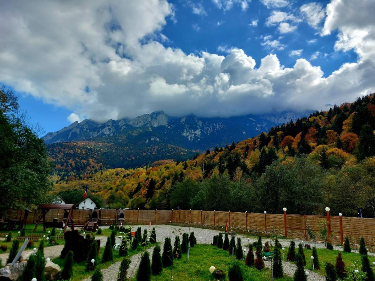 Aroa Mountain 4 Villa Zarnesti Luaran gambar